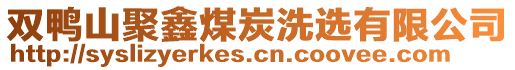 雙鴨山聚鑫煤炭洗選有限公司
