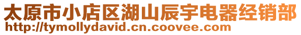 太原市小店區湖山辰宇電器經銷部
