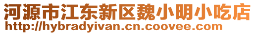 河源市江東新區(qū)魏小明小吃店