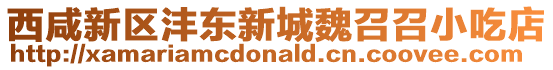 西咸新區(qū)灃東新城魏召召小吃店