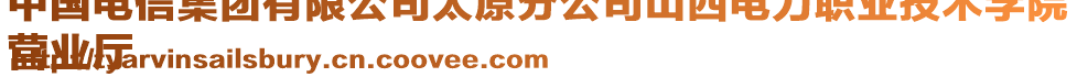 中國電信集團有限公司太原分公司山西電力職業(yè)技術(shù)學(xué)院
營業(yè)廳