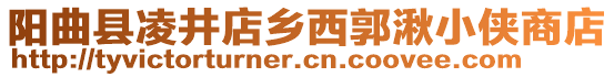 阳曲县凌井店乡西郭湫小侠商店