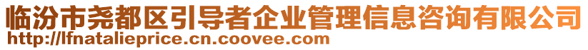 臨汾市堯都區(qū)引導(dǎo)者企業(yè)管理信息咨詢有限公司