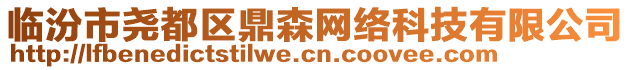 臨汾市堯都區(qū)鼎森網(wǎng)絡(luò)科技有限公司