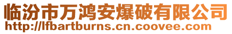 臨汾市萬鴻安爆破有限公司