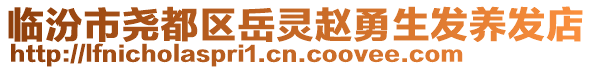 臨汾市堯都區(qū)岳靈趙勇生發(fā)養(yǎng)發(fā)店