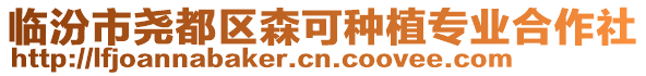 臨汾市堯都區(qū)森可種植專業(yè)合作社