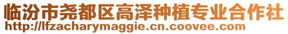 臨汾市堯都區(qū)高澤種植專業(yè)合作社