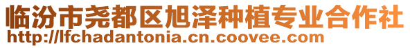 臨汾市堯都區(qū)旭澤種植專業(yè)合作社