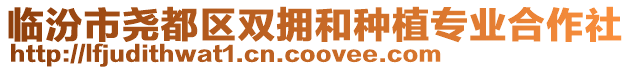 臨汾市堯都區(qū)雙擁和種植專業(yè)合作社