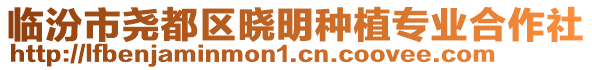 臨汾市堯都區(qū)曉明種植專業(yè)合作社