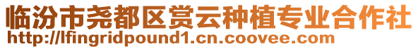 臨汾市堯都區(qū)賞云種植專業(yè)合作社