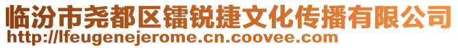 臨汾市堯都區(qū)鐳銳捷文化傳播有限公司