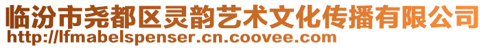 臨汾市堯都區(qū)靈韻藝術(shù)文化傳播有限公司