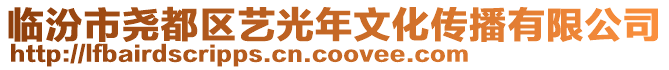 臨汾市堯都區(qū)藝光年文化傳播有限公司