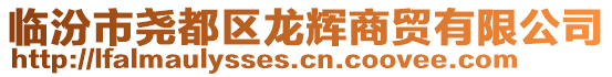 臨汾市堯都區(qū)龍輝商貿(mào)有限公司