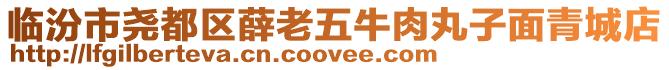 臨汾市堯都區薛老五牛肉丸子面青城店