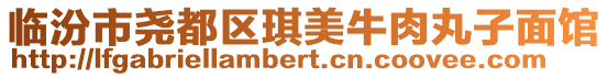 臨汾市堯都區琪美牛肉丸子面館