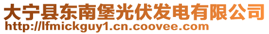 大寧縣東南堡光伏發(fā)電有限公司