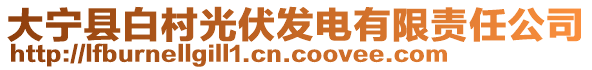 大寧縣白村光伏發(fā)電有限責(zé)任公司