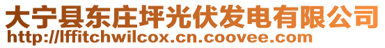 大寧縣東莊坪光伏發(fā)電有限公司