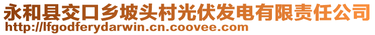 永和县交口乡坡头村光伏发电有限责任公司