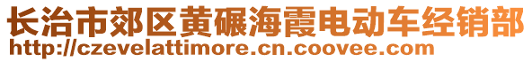 長治市郊區(qū)黃碾海霞電動車經(jīng)銷部