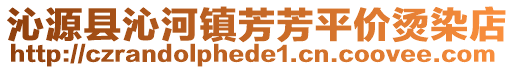 沁源縣沁河鎮(zhèn)芳芳平價燙染店