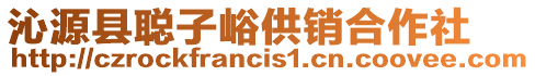 沁源縣聰子峪供銷合作社