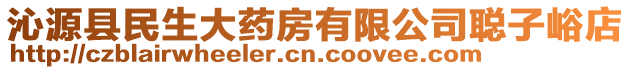 沁源縣民生大藥房有限公司聰子峪店