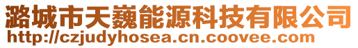 潞城市天巍能源科技有限公司