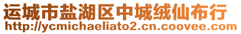 運城市鹽湖區(qū)中城絨仙布行