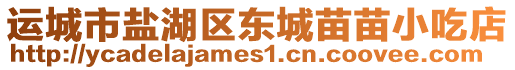 運城市鹽湖區(qū)東城苗苗小吃店