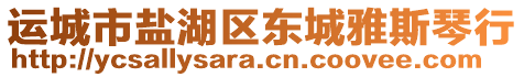 運(yùn)城市鹽湖區(qū)東城雅斯琴行