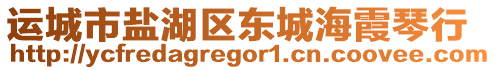 運城市鹽湖區(qū)東城海霞琴行