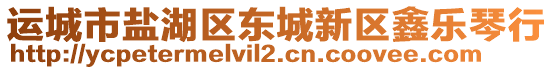 運城市鹽湖區(qū)東城新區(qū)鑫樂琴行