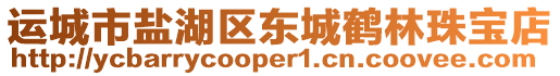 運(yùn)城市鹽湖區(qū)東城鶴林珠寶店