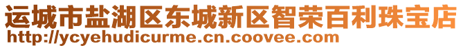 運(yùn)城市鹽湖區(qū)東城新區(qū)智榮百利珠寶店