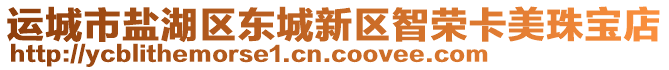 運(yùn)城市鹽湖區(qū)東城新區(qū)智榮卡美珠寶店