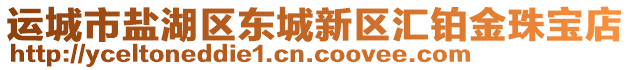 運城市鹽湖區(qū)東城新區(qū)匯鉑金珠寶店