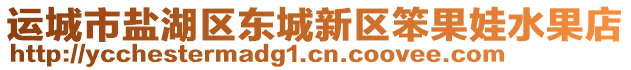 運(yùn)城市鹽湖區(qū)東城新區(qū)笨果娃水果店