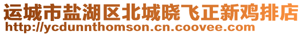 運城市鹽湖區(qū)北城曉飛正新雞排店