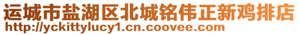 運(yùn)城市鹽湖區(qū)北城銘偉正新雞排店