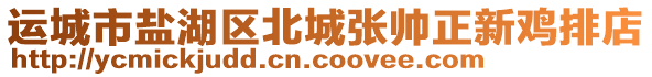 運(yùn)城市鹽湖區(qū)北城張帥正新雞排店