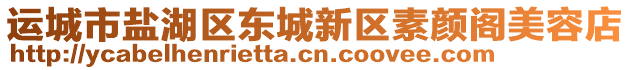 運(yùn)城市鹽湖區(qū)東城新區(qū)素顏閣美容店