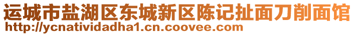 運(yùn)城市鹽湖區(qū)東城新區(qū)陳記扯面刀削面館