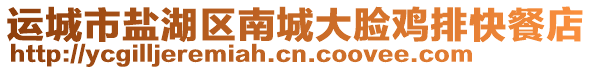 運城市鹽湖區(qū)南城大臉雞排快餐店