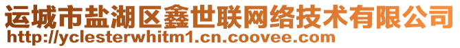 運城市鹽湖區(qū)鑫世聯(lián)網(wǎng)絡(luò)技術(shù)有限公司