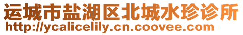 運城市鹽湖區北城水珍診所