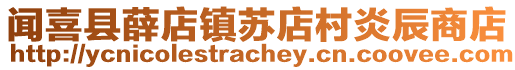 聞喜縣薛店鎮(zhèn)蘇店村炎辰商店